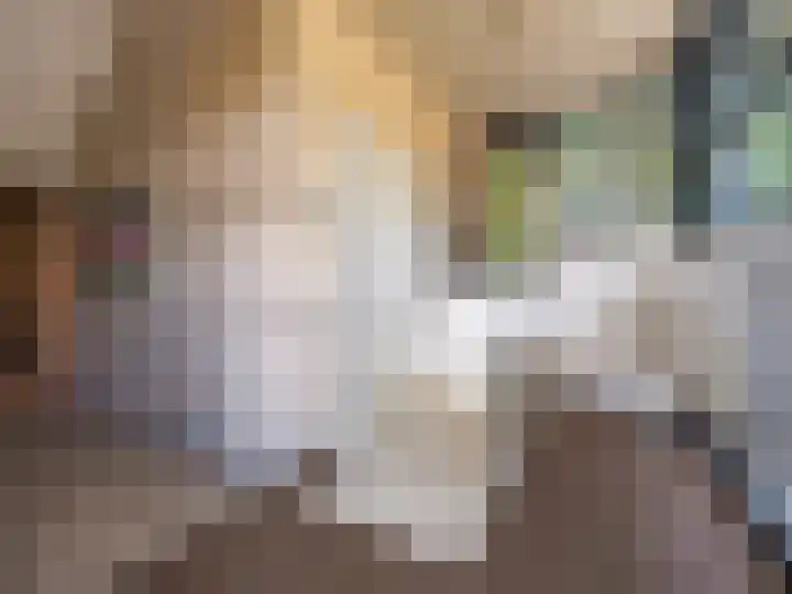 Hoofdstraat 50 l Gorssel thumbnail 26