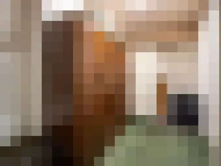 Hoofdstraat 50 l Gorssel thumbnail 31