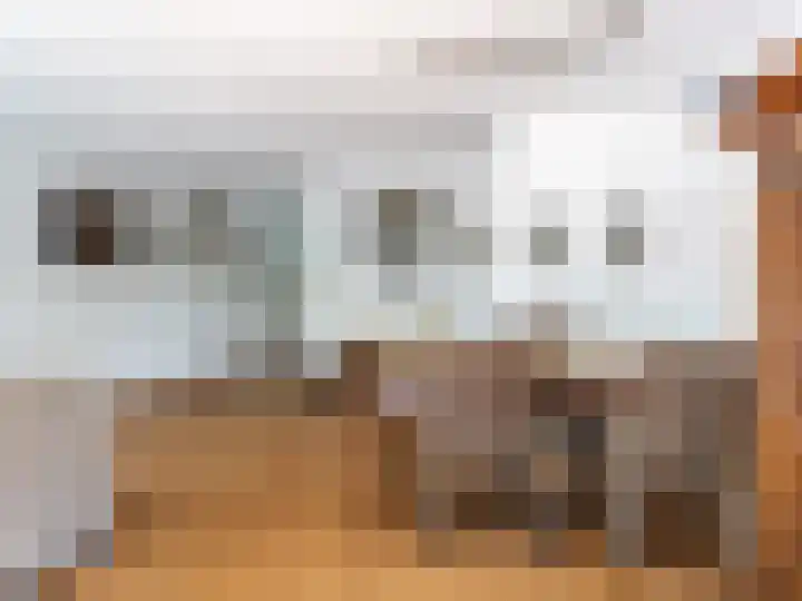Hoofdstraat 50 l Gorssel thumbnail 5