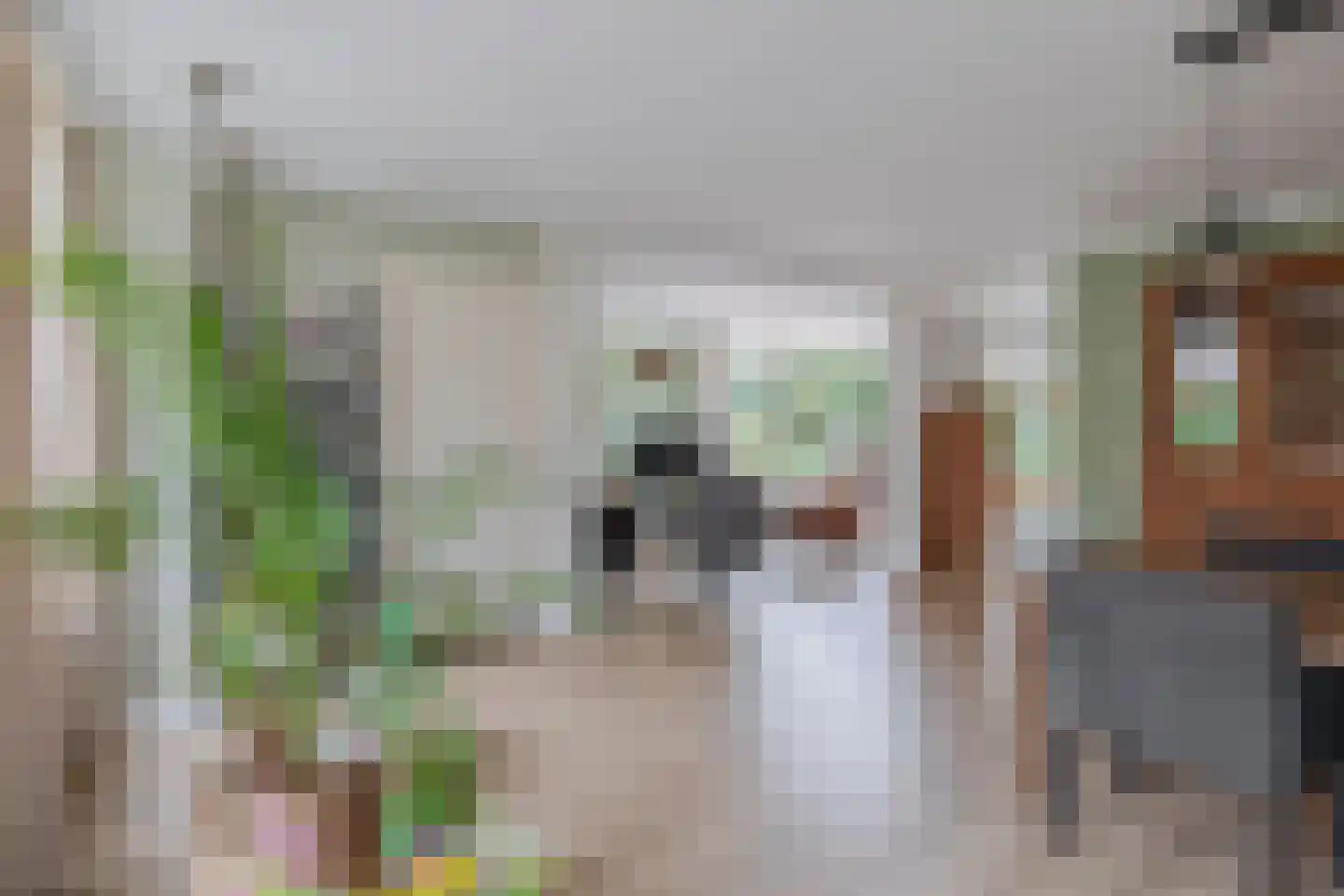 Hoofdstraat 50 Liessel thumbnail 14