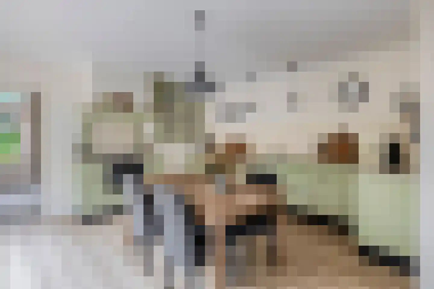 Hoofdstraat 50 Liessel thumbnail 15