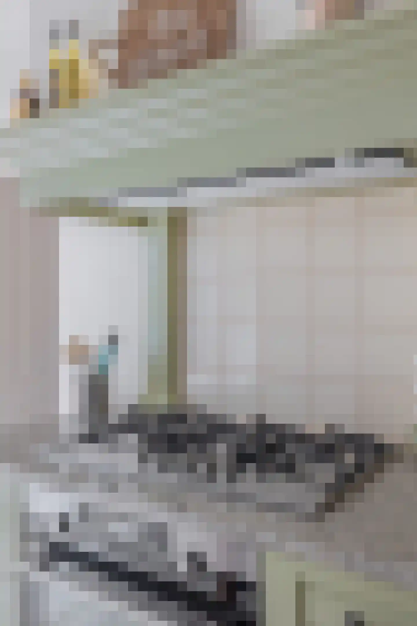 Hoofdstraat 50 Liessel thumbnail 20