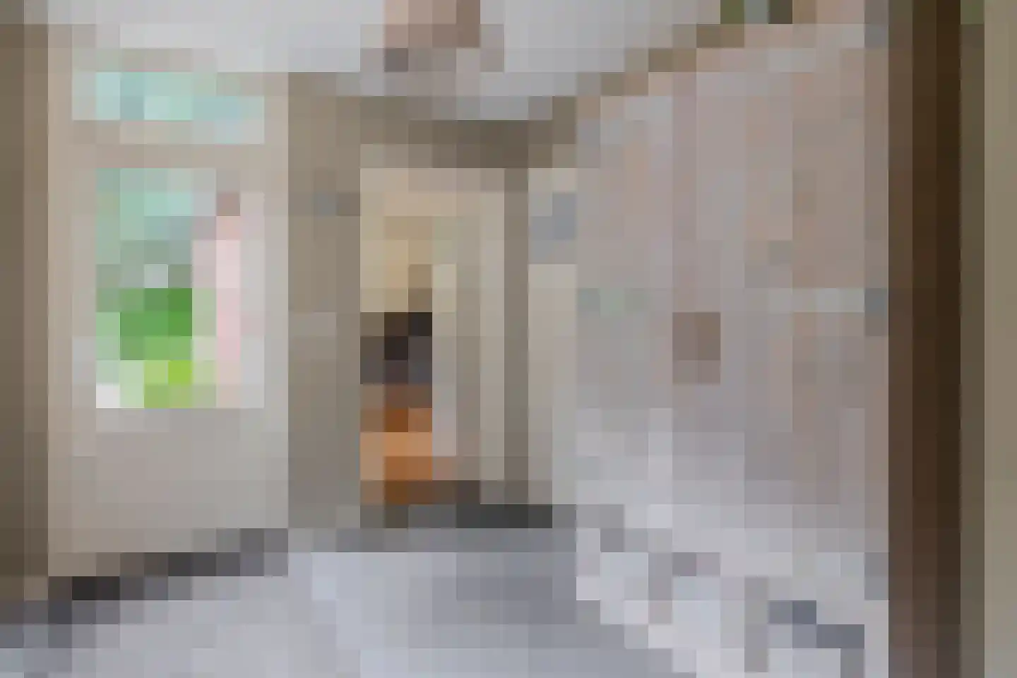 Hoofdstraat 50 Liessel thumbnail 21