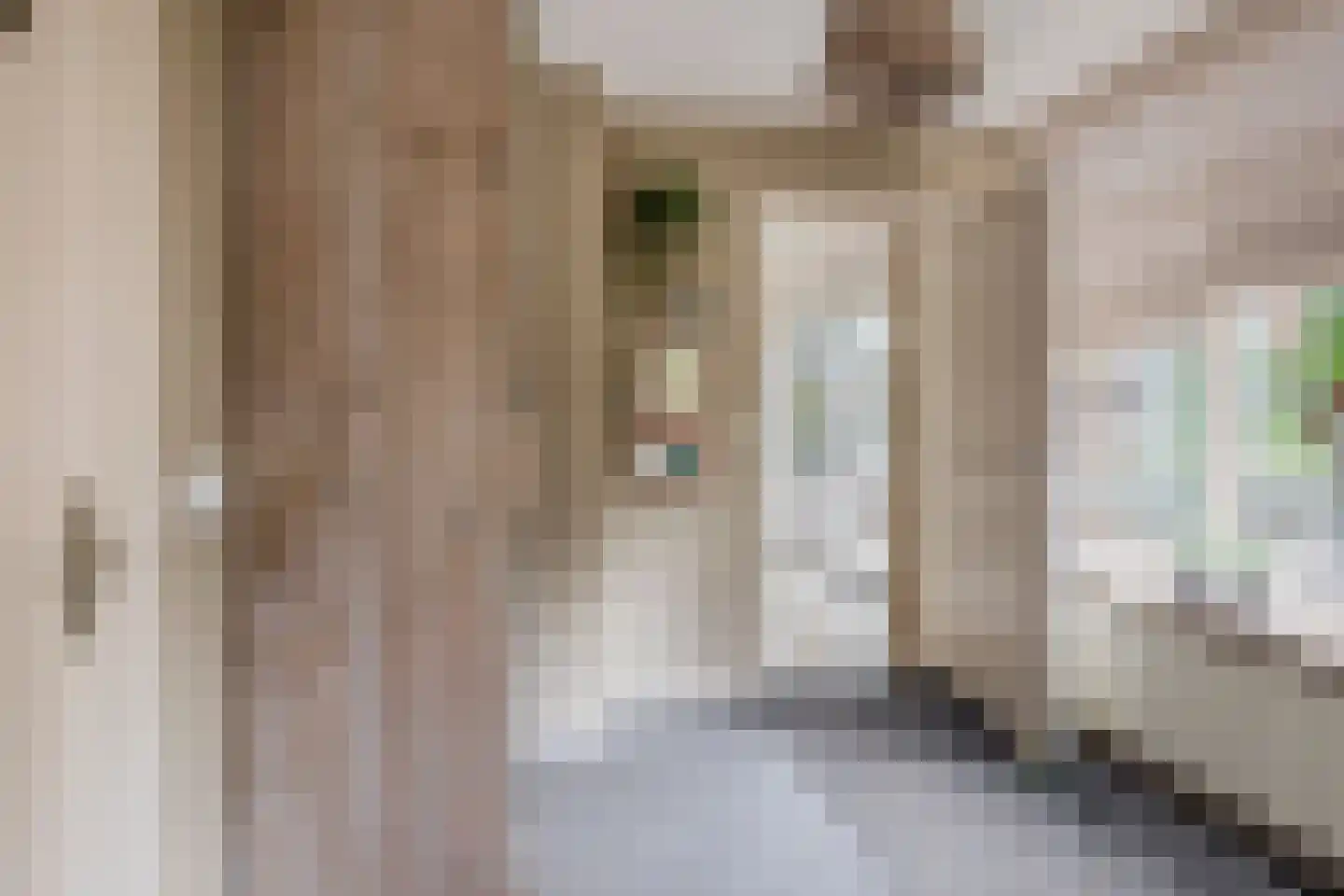 Hoofdstraat 50 Liessel thumbnail 22