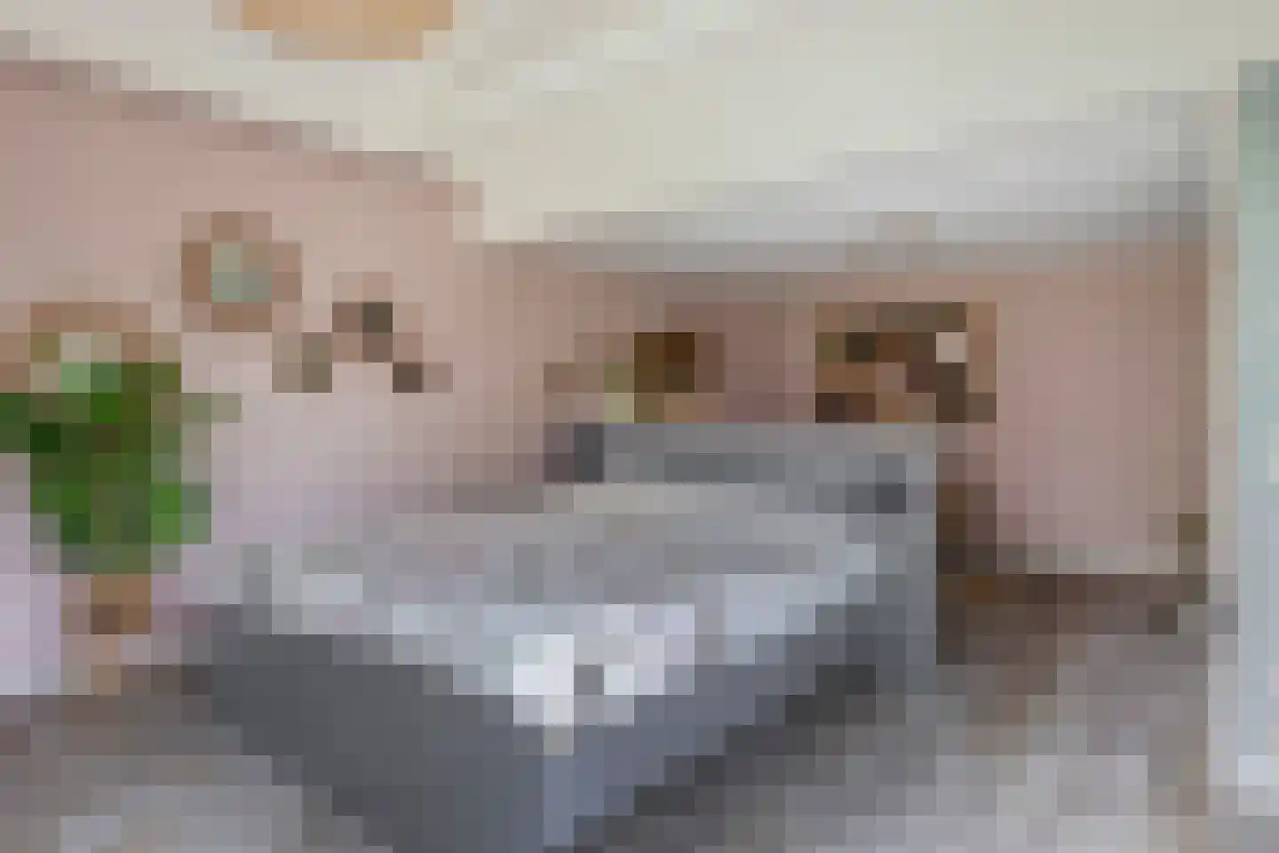 Hoofdstraat 50 Liessel thumbnail 33