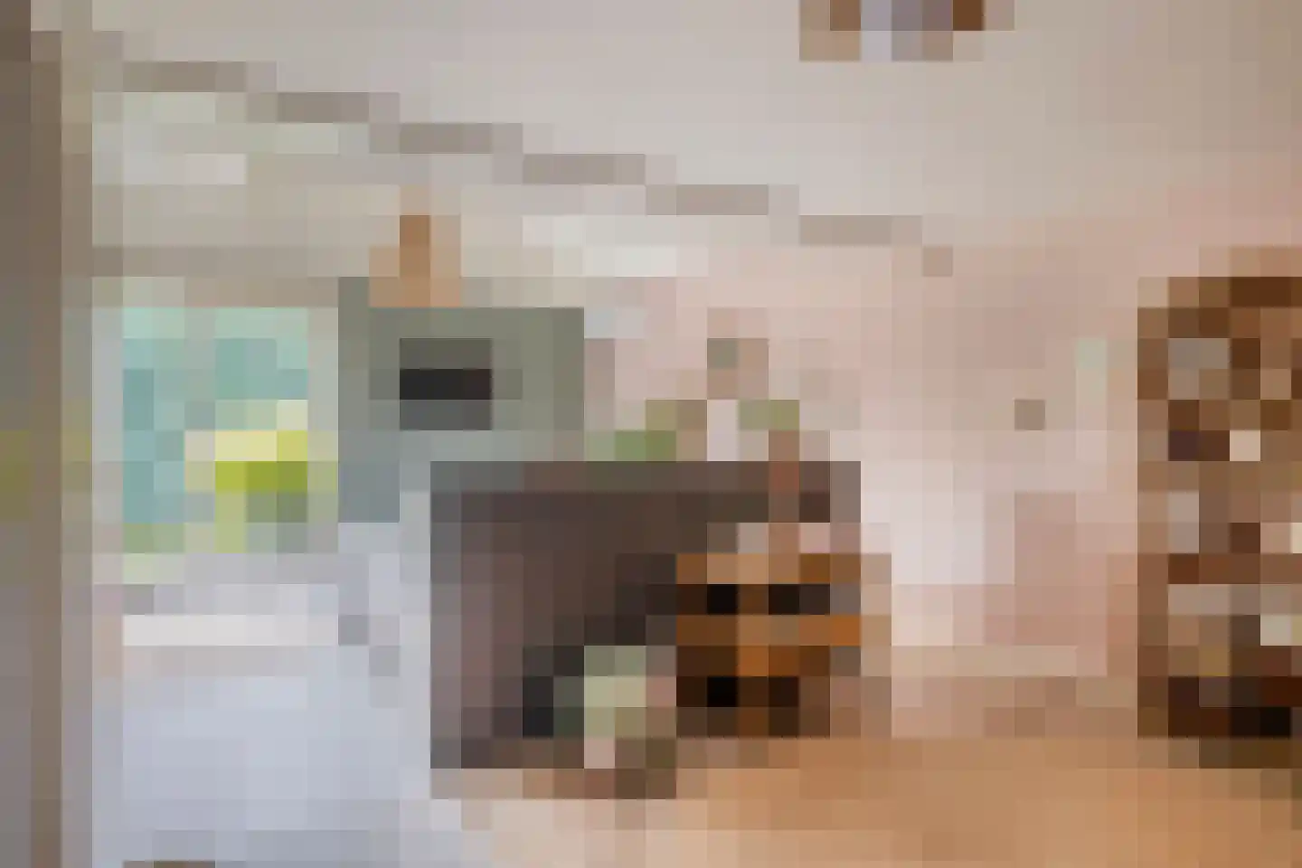 Hoofdstraat 50 Liessel thumbnail 34