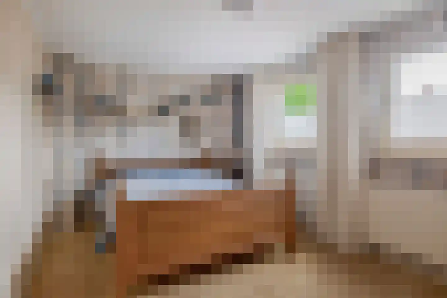 Hoofdstraat 50 Liessel thumbnail 36