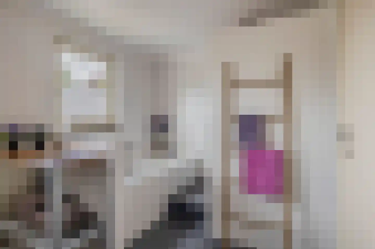 Hoofdstraat 50 Liessel thumbnail 39