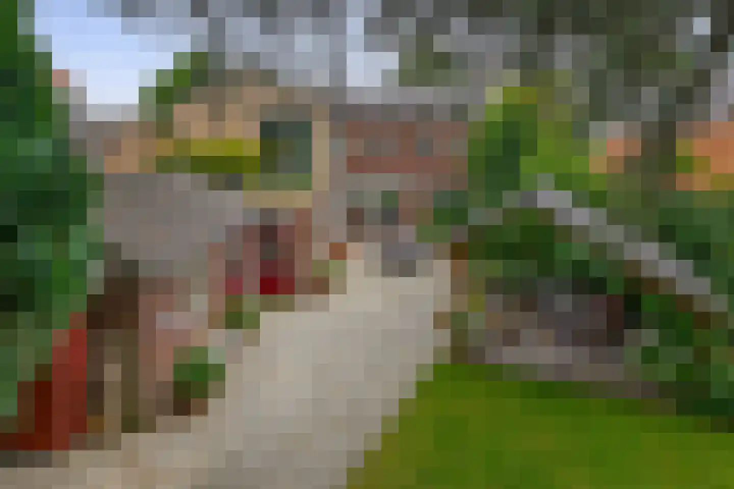 Hoofdstraat 50 Liessel thumbnail 49