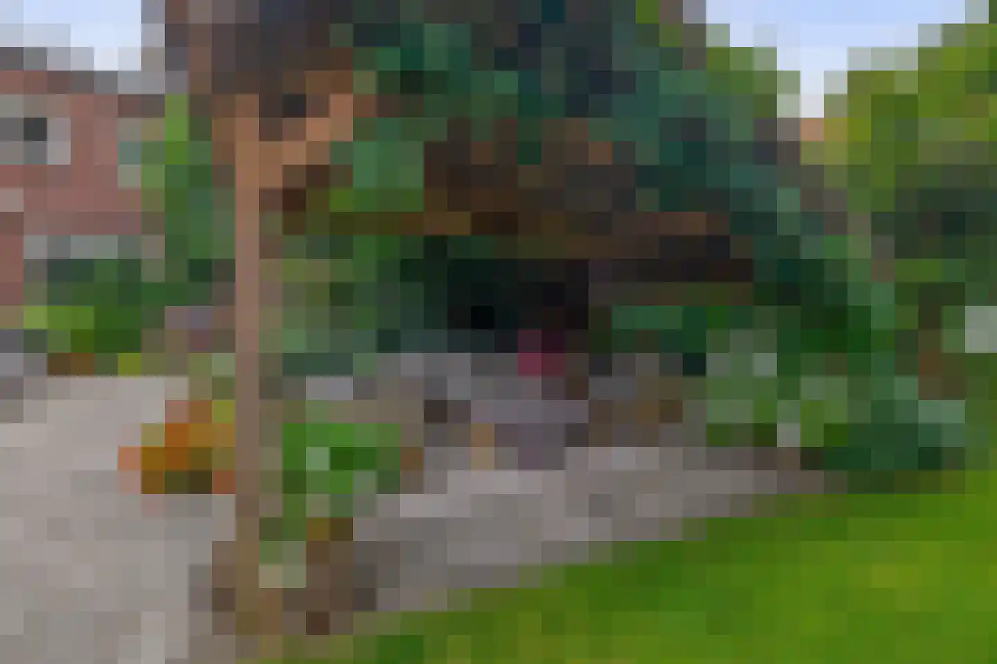 Hoofdstraat 50 Liessel thumbnail 51