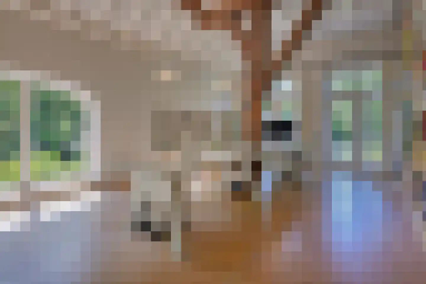 Hoofdstraat 50 's Gravenmoer thumbnail 13