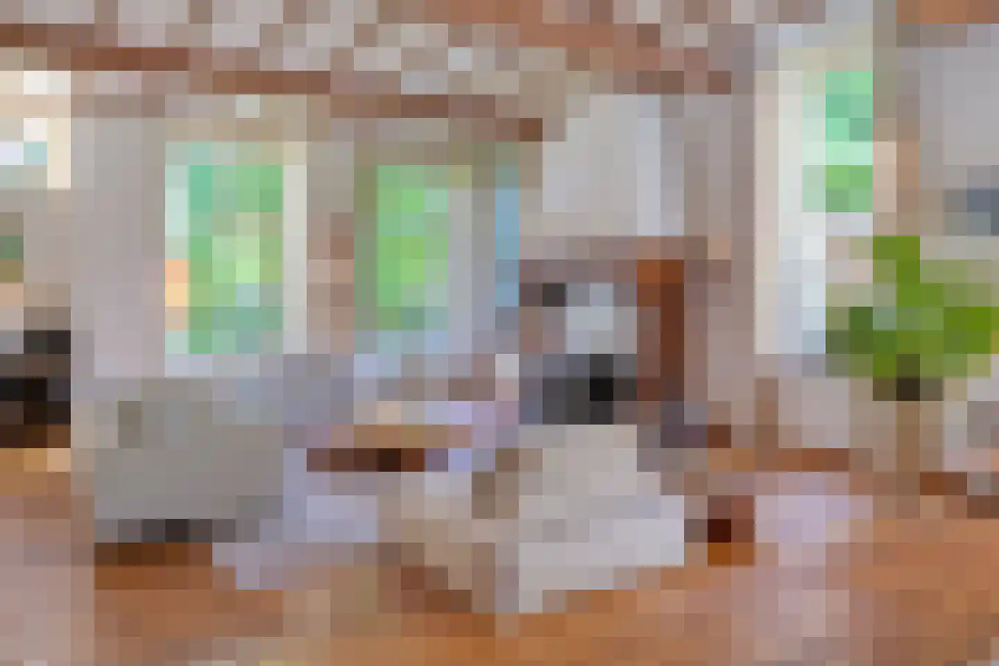 Hoofdstraat 50 's Gravenmoer thumbnail 4