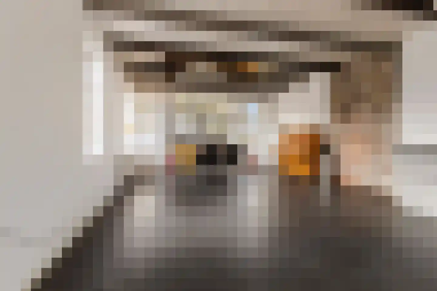 Hoofdstraat 50 Tolbert thumbnail 15