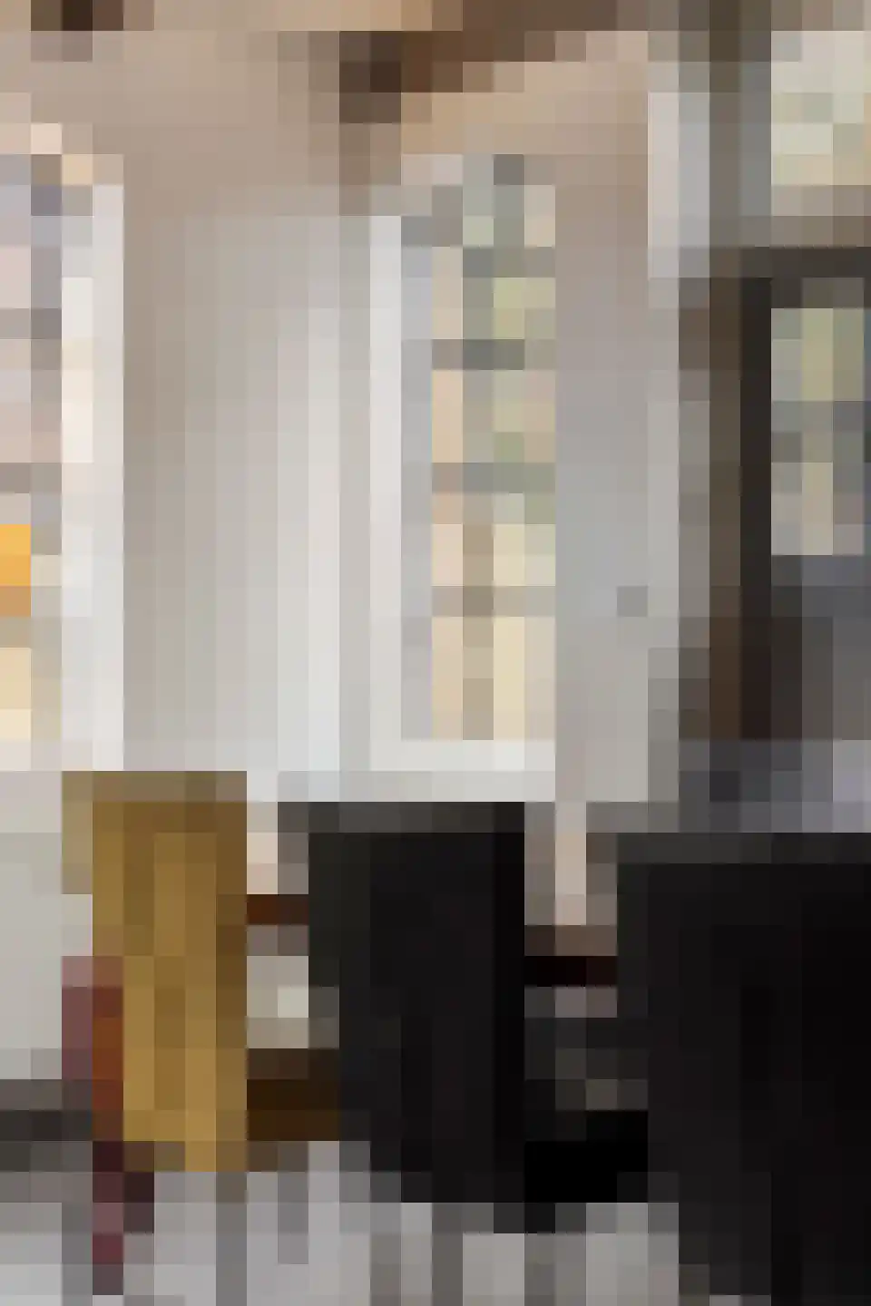 Hoofdstraat 50 Tolbert thumbnail 18