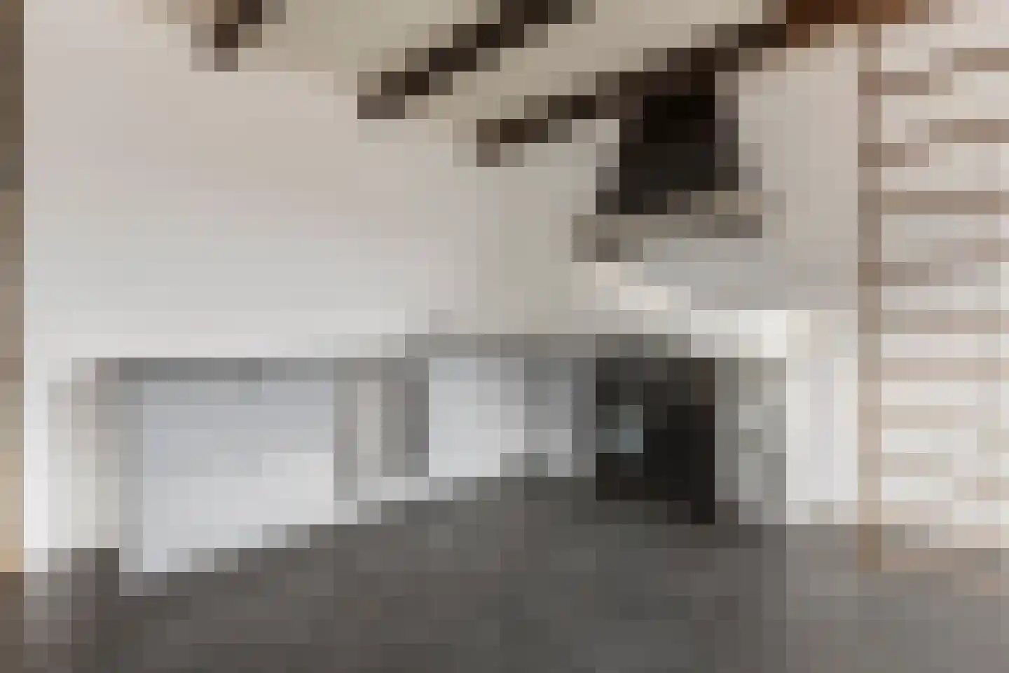 Hoofdstraat 50 Tolbert thumbnail 22