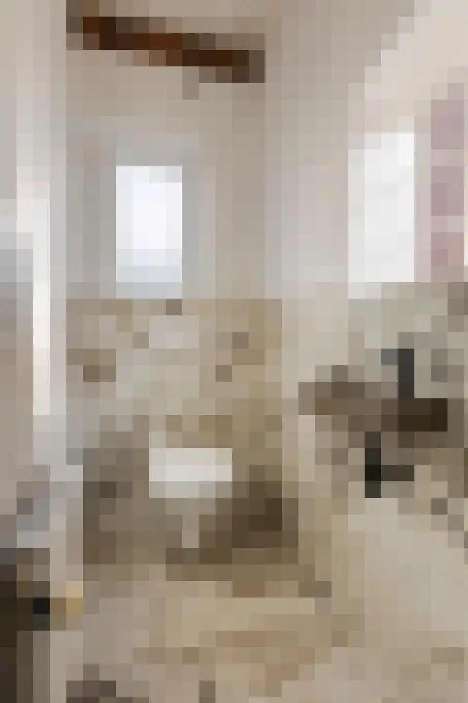 Hoofdstraat 50 Tolbert thumbnail 38