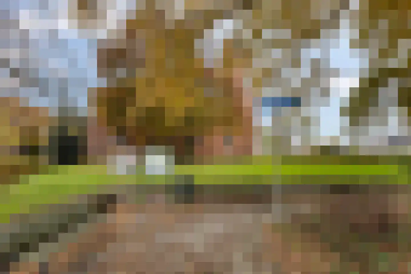 Hoofdstraat 50 Tolbert thumbnail 43