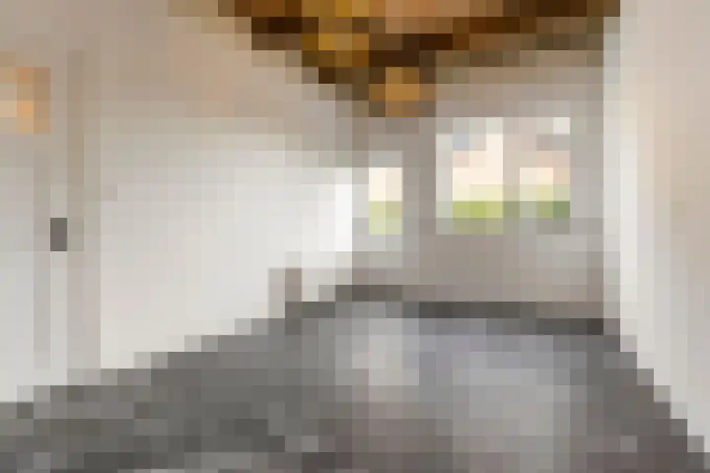 Hoofdstraat 50 Tolbert thumbnail 6