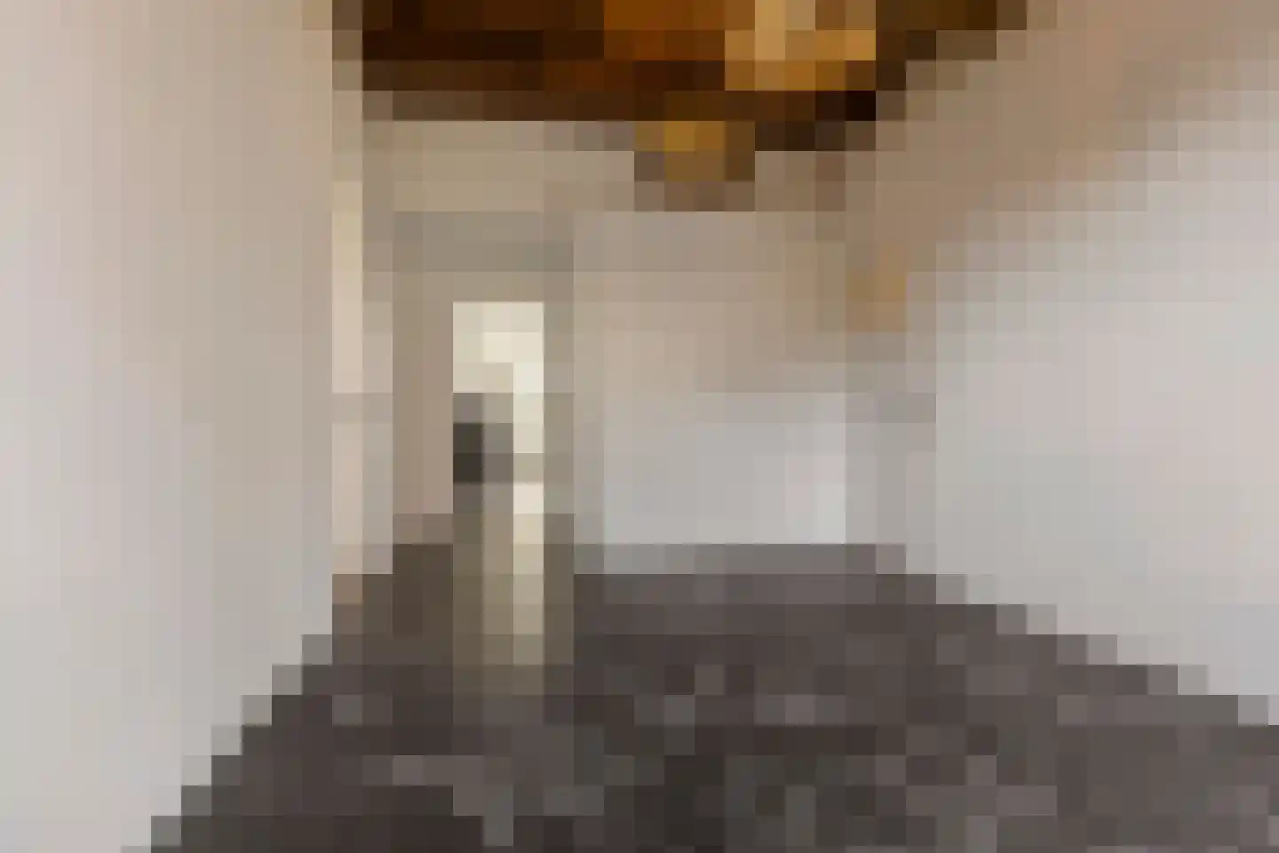 Hoofdstraat 50 Tolbert thumbnail 7