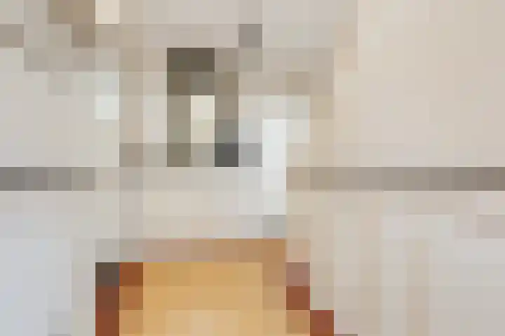 Hoofdstraat 51 Gaanderen thumbnail 10