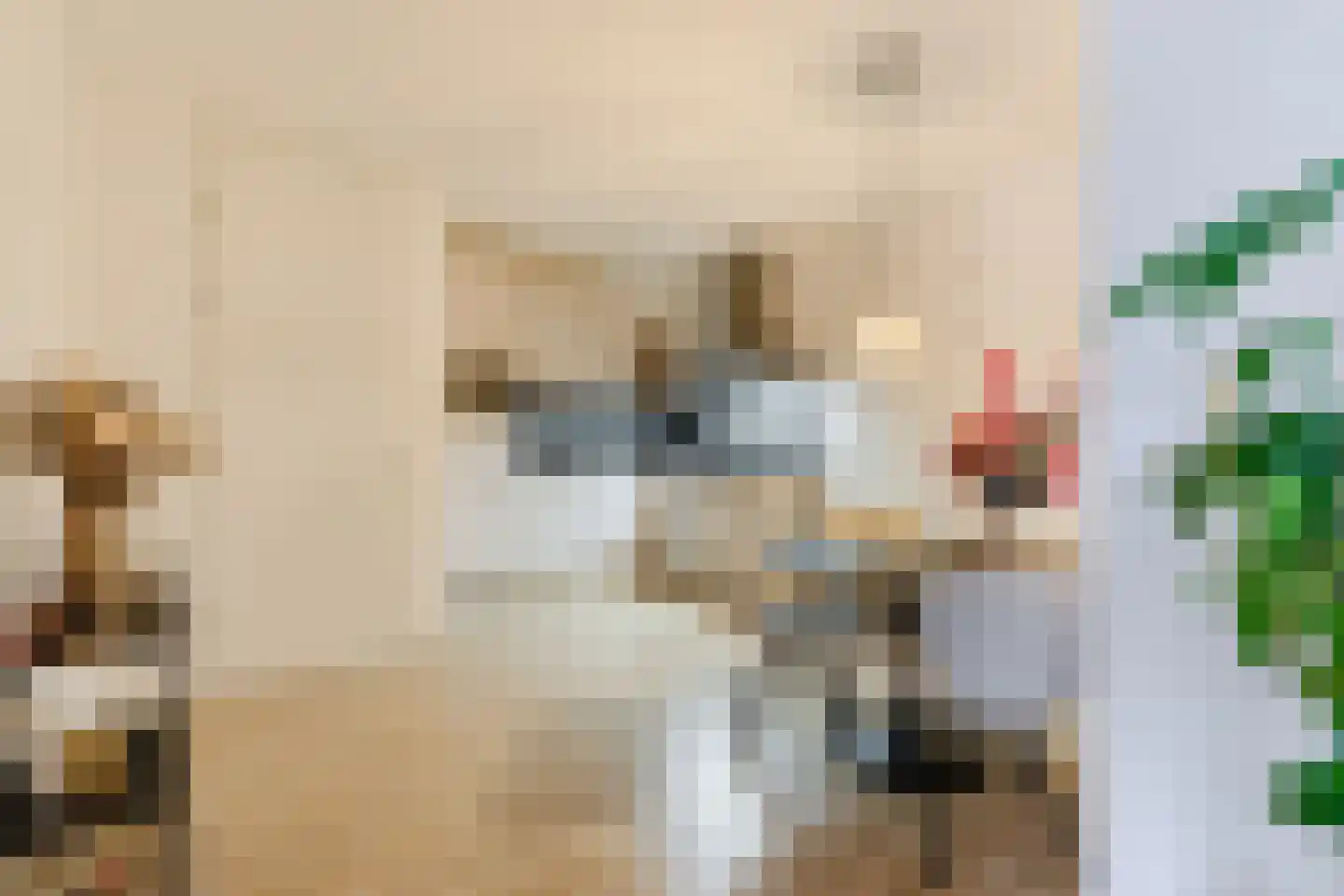 Hoofdstraat 51 Liessel thumbnail 11