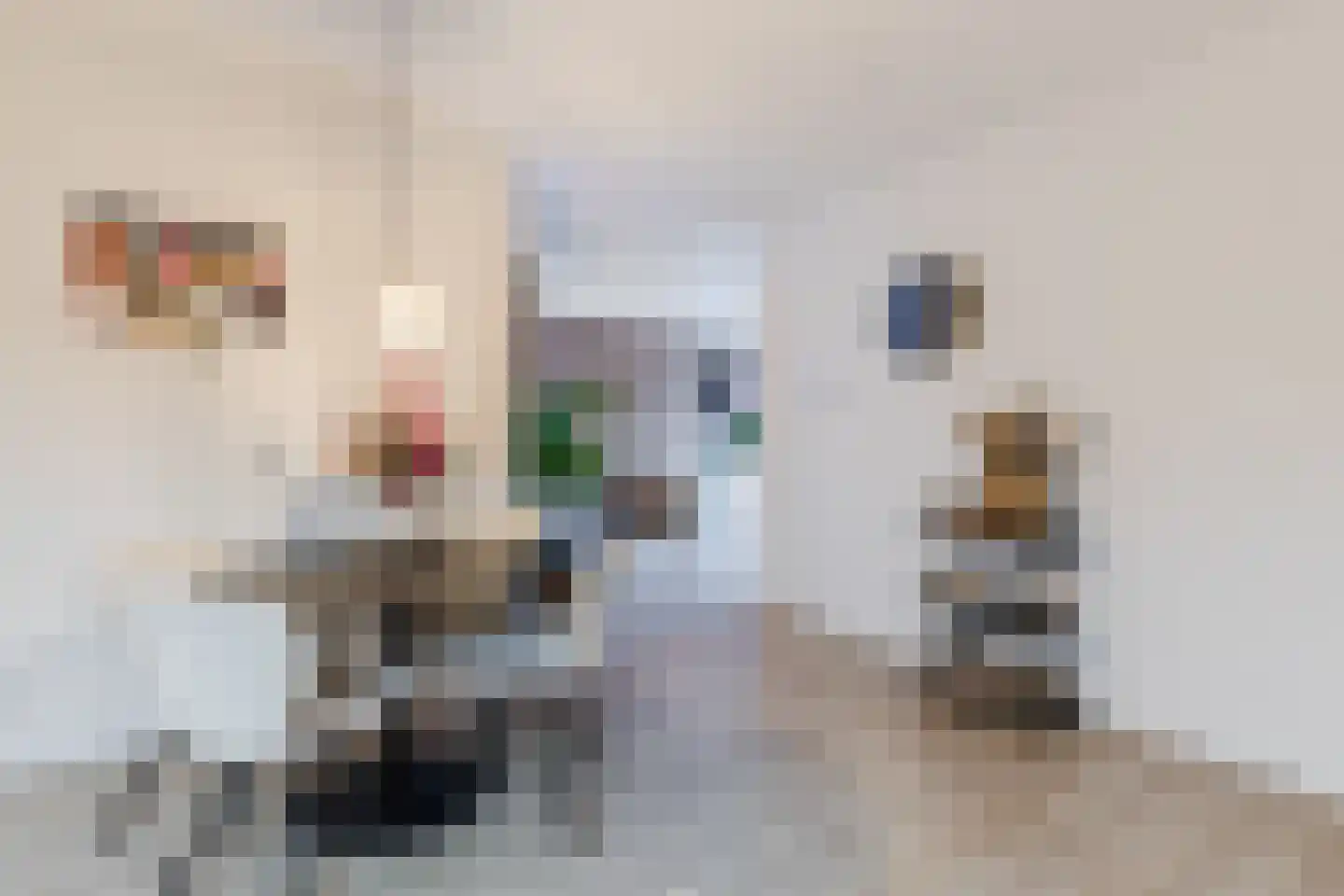 Hoofdstraat 51 Liessel thumbnail 12