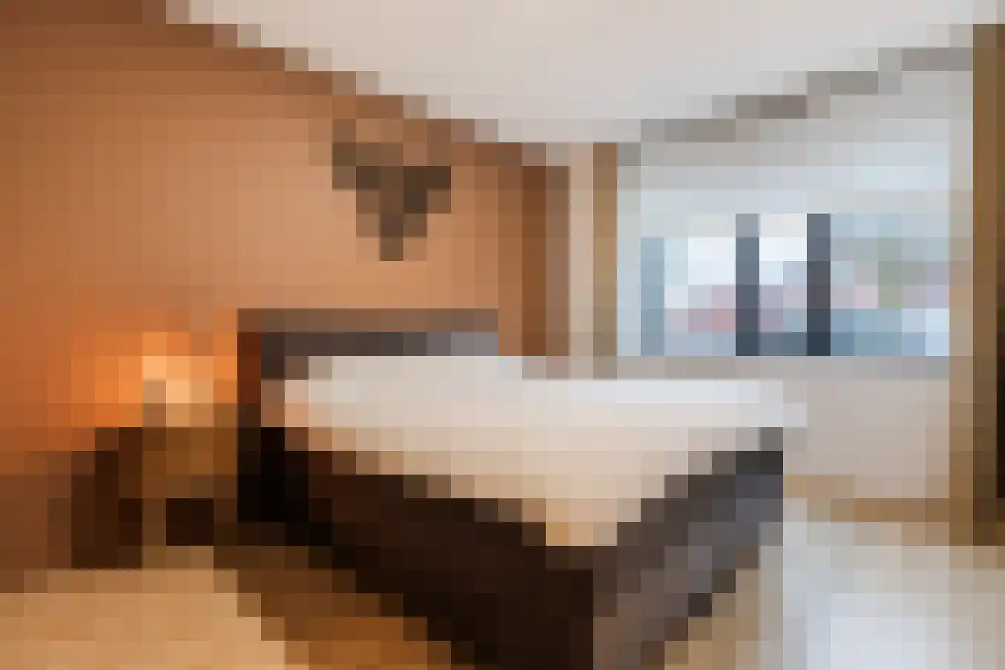 Hoofdstraat 51 Liessel thumbnail 13