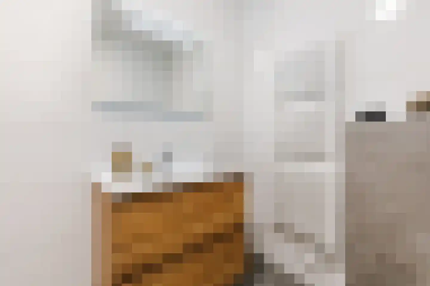 Hoofdstraat 51 Liessel thumbnail 14