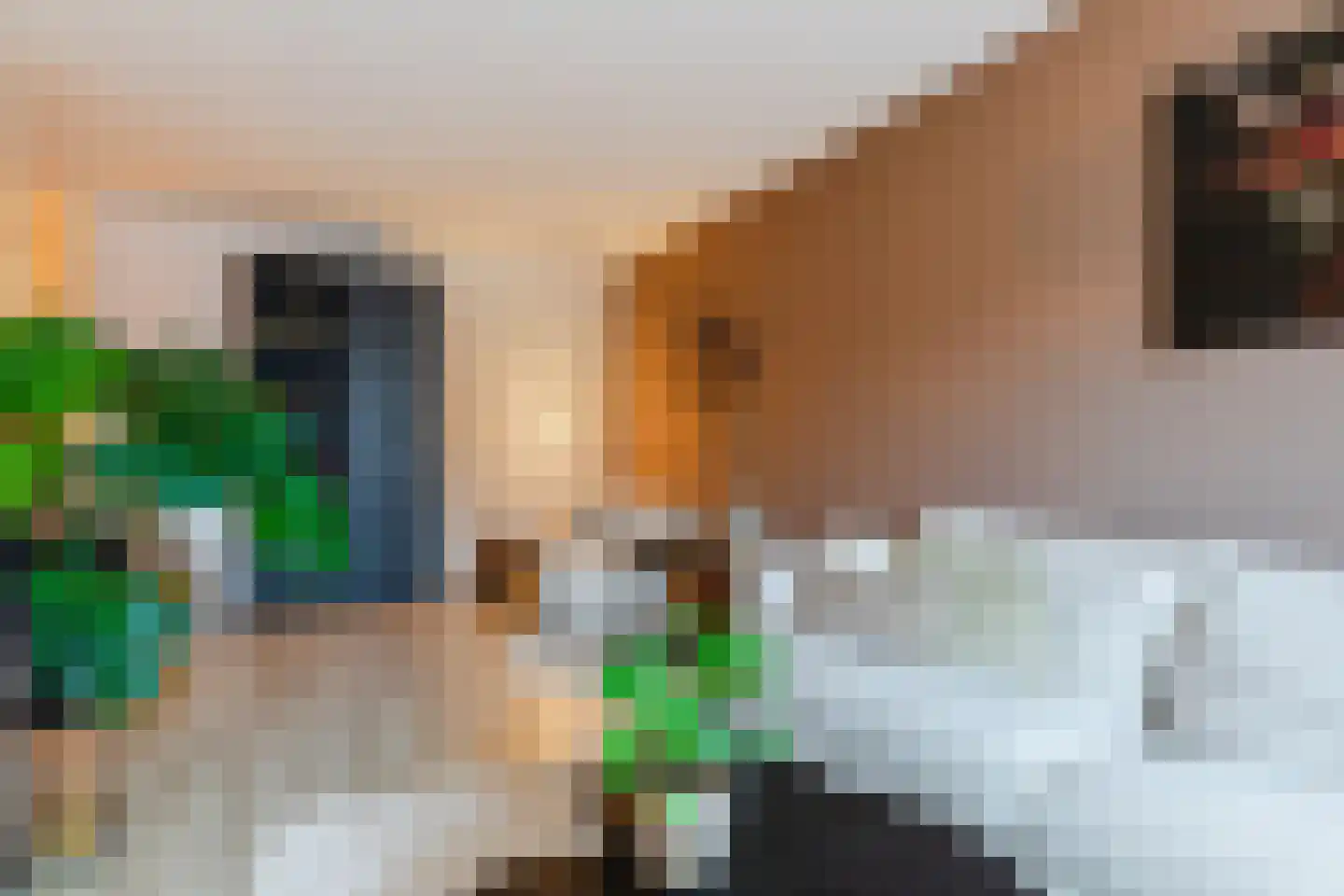 Hoofdstraat 51 Liessel thumbnail 5