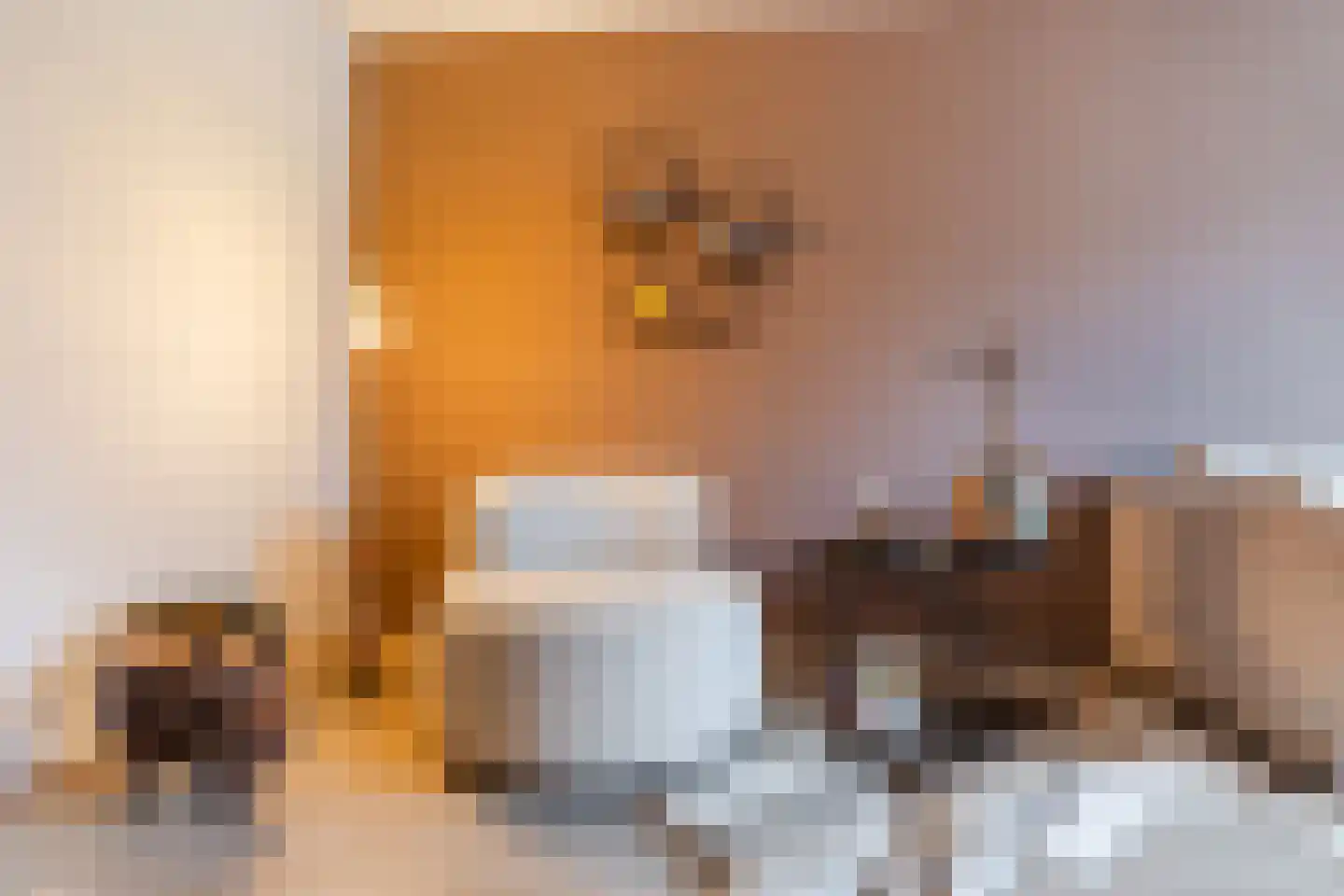 Hoofdstraat 51 Liessel thumbnail 6