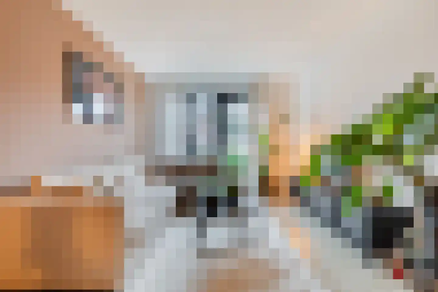Hoofdstraat 51 Liessel thumbnail 7
