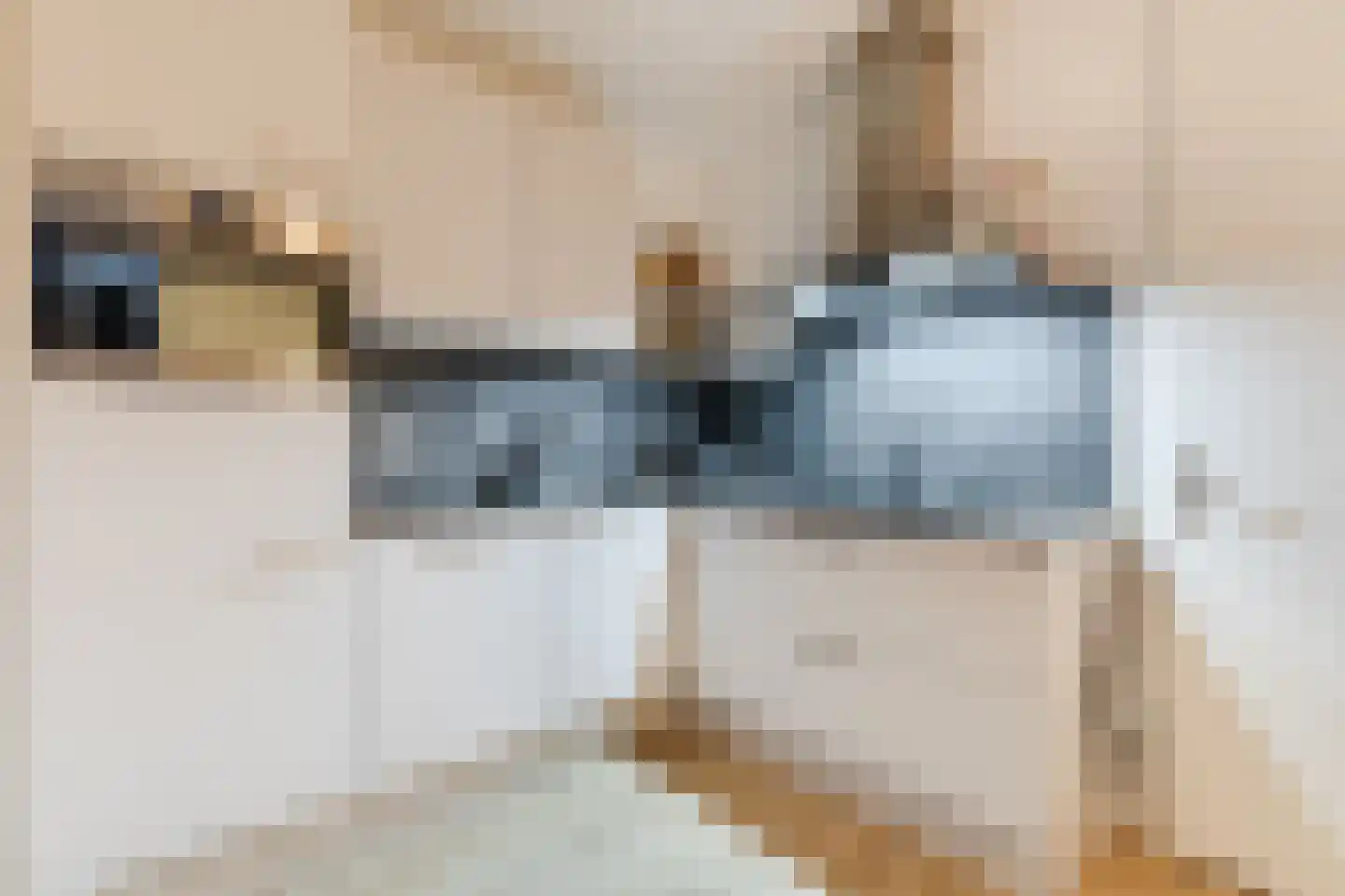Hoofdstraat 51 Liessel thumbnail 8