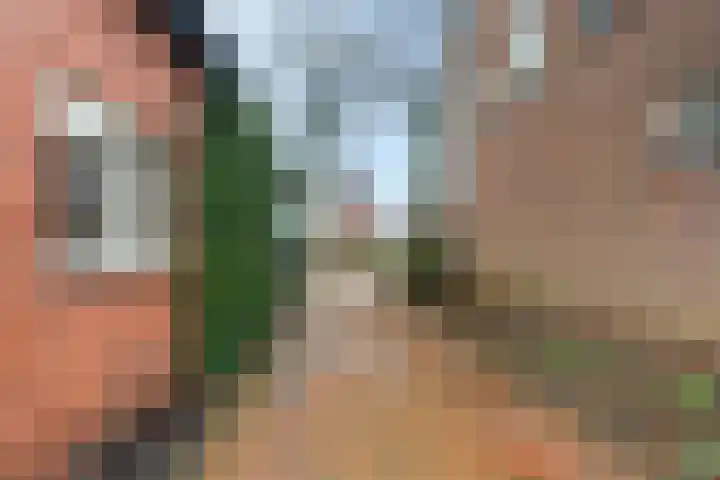 Hoofdstraat 51 Valthe thumbnail 38