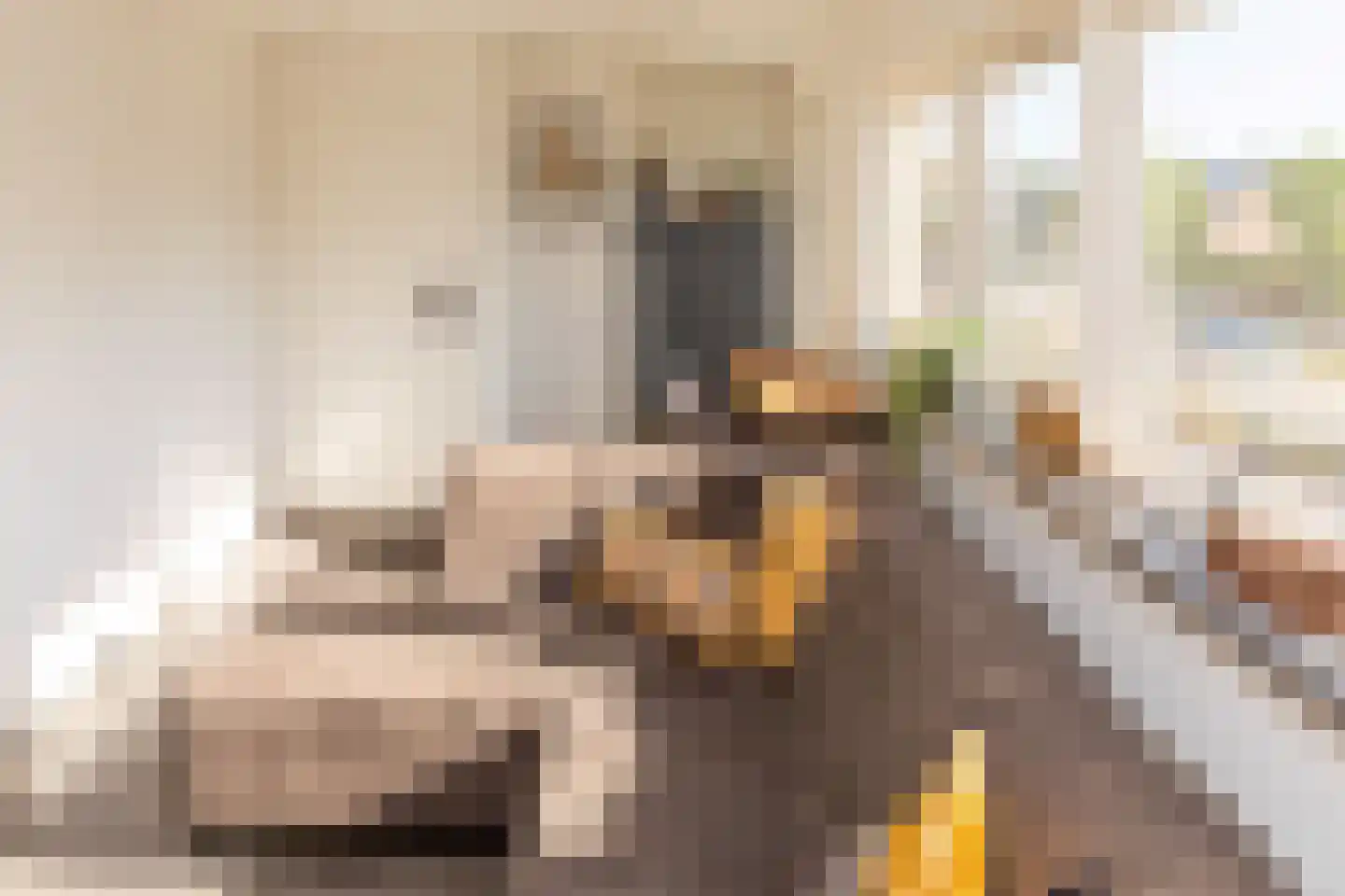 Hoofdstraat 52 b Kesteren thumbnail 14