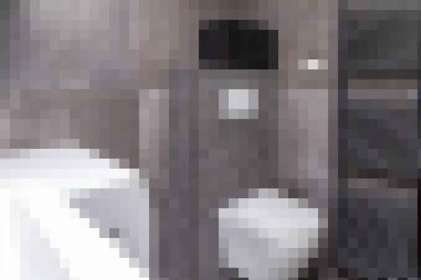 Hoofdstraat 52 b Kesteren thumbnail 25