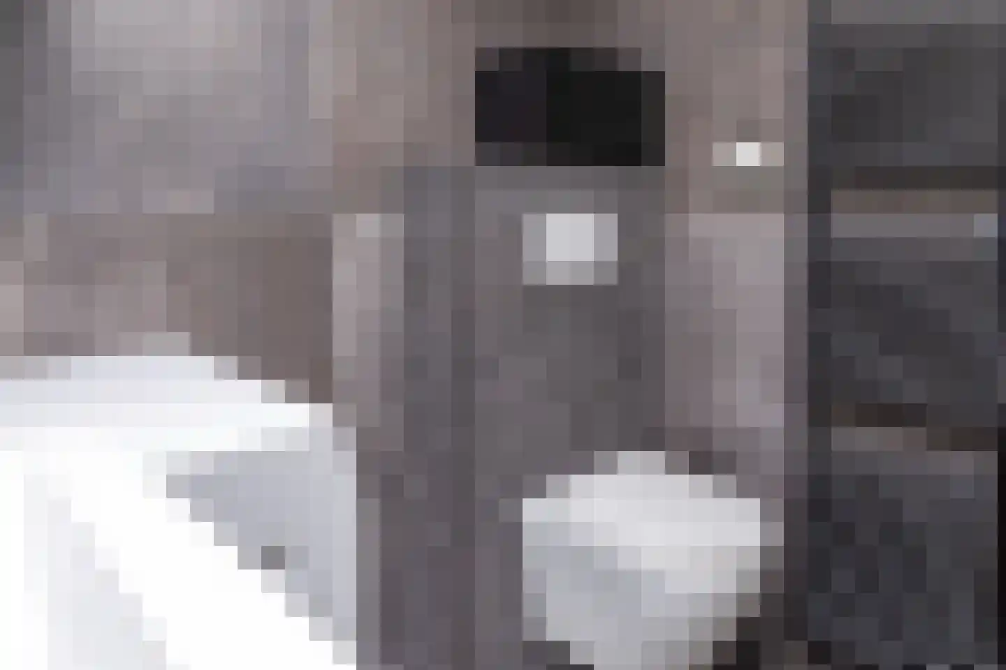 Hoofdstraat 52 b Kesteren thumbnail 25