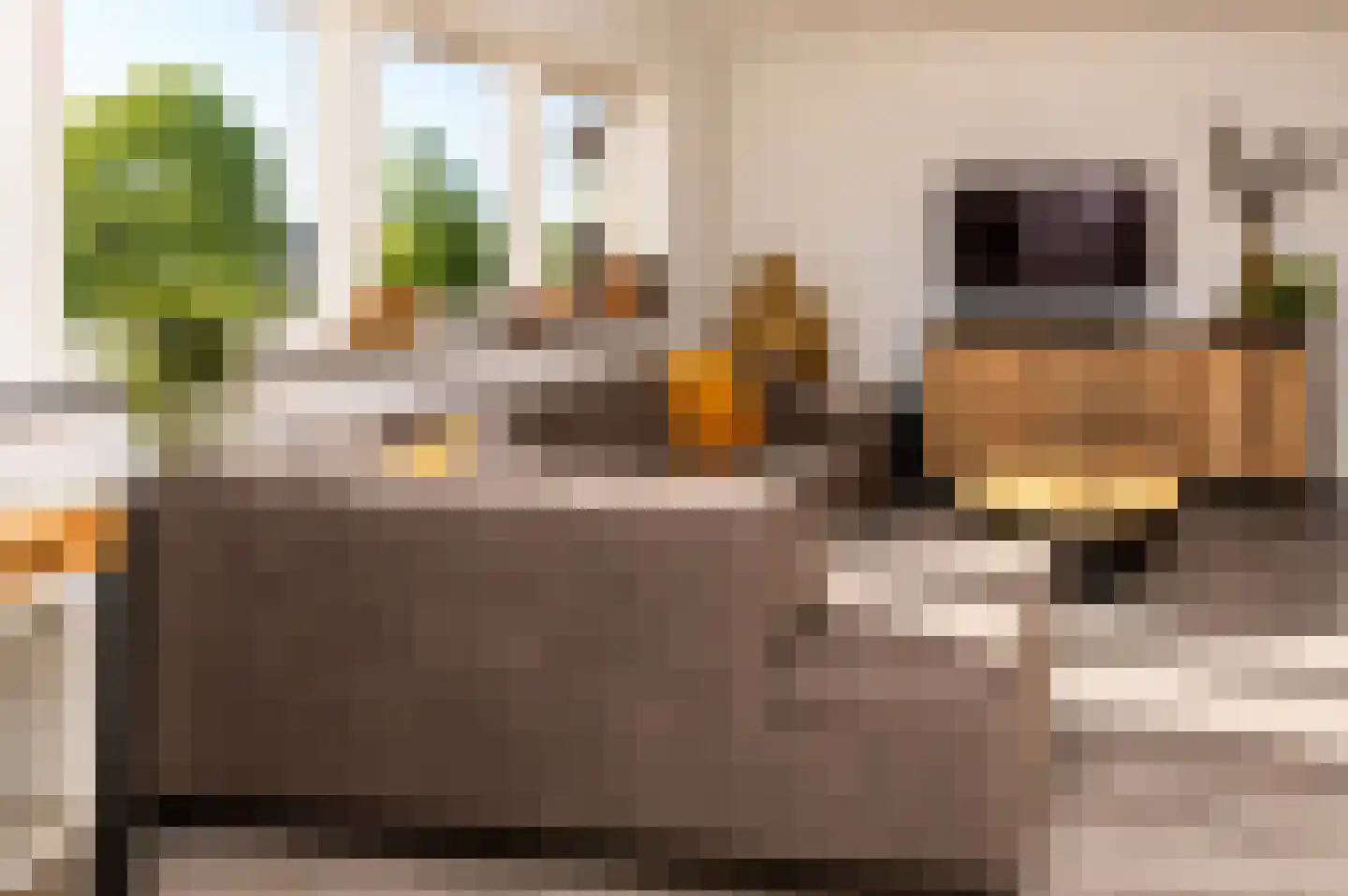 Hoofdstraat 52 b Kesteren thumbnail 41