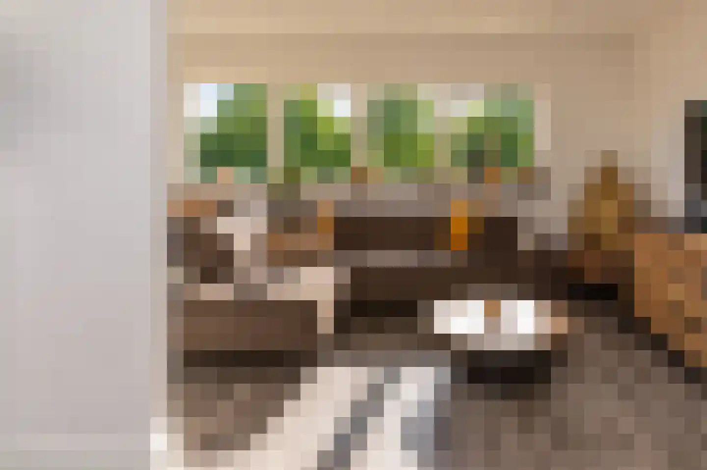 Hoofdstraat 52 b Kesteren thumbnail 42