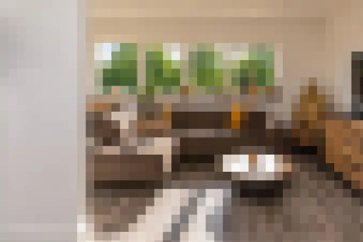 Hoofdstraat 52 b Kesteren thumbnail 42