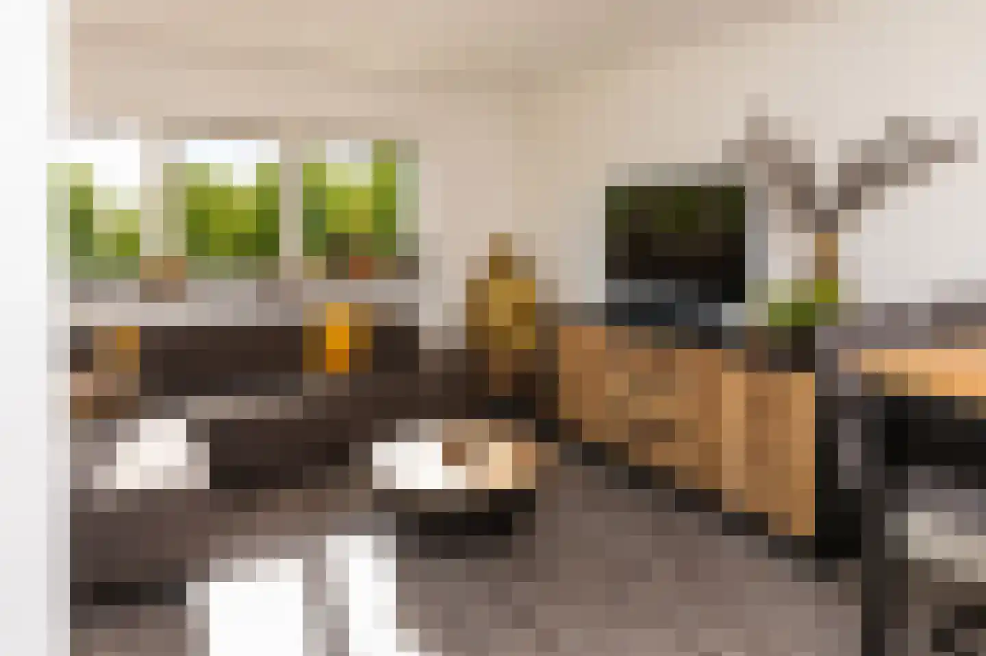 Hoofdstraat 52 b Kesteren thumbnail 45