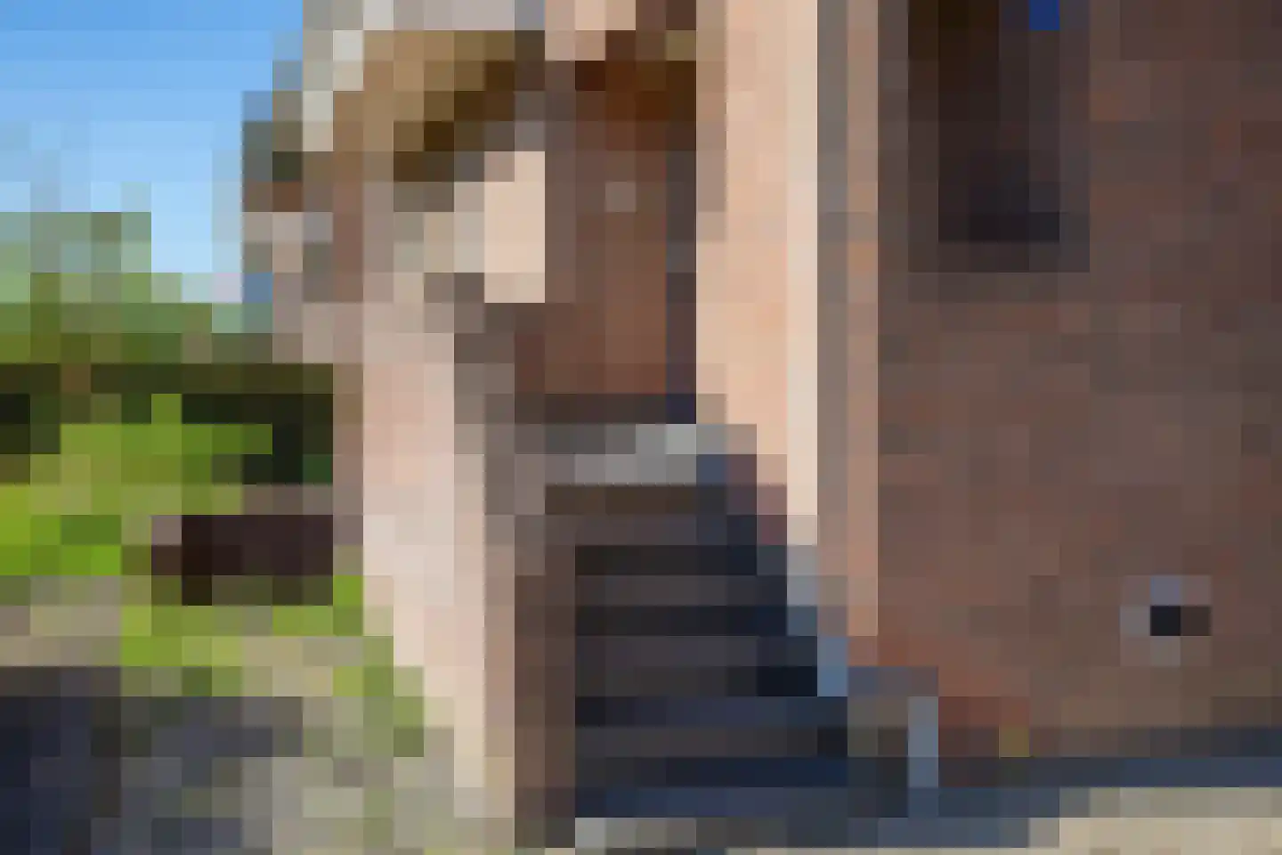 Hoofdstraat 52 b Kesteren thumbnail 8