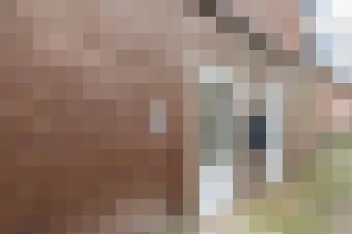 Hoofdstraat 52 F Hillegom thumbnail 22