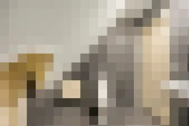 Hoofdstraat 52 h Kesteren thumbnail 21
