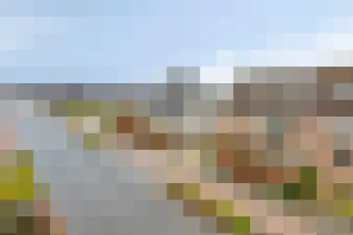 Hoofdstraat 52 h Kesteren thumbnail 34