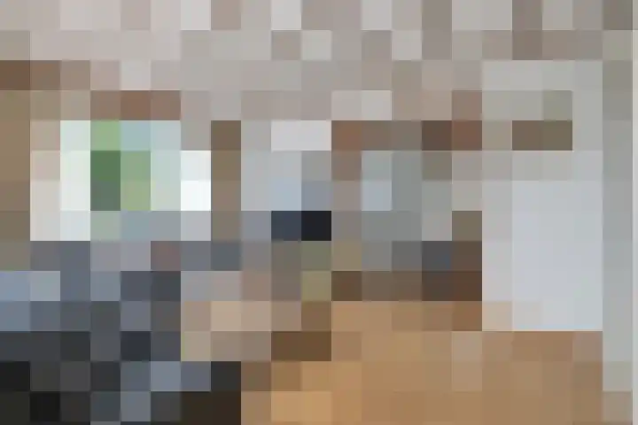 Hoofdstraat 53 Overdinkel thumbnail 11