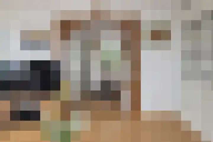 Hoofdstraat 53 Overdinkel thumbnail 12