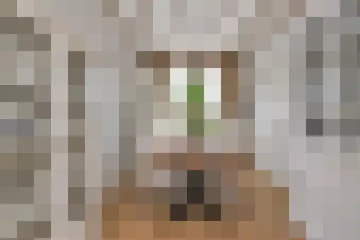 Hoofdstraat 53 Overdinkel thumbnail 15
