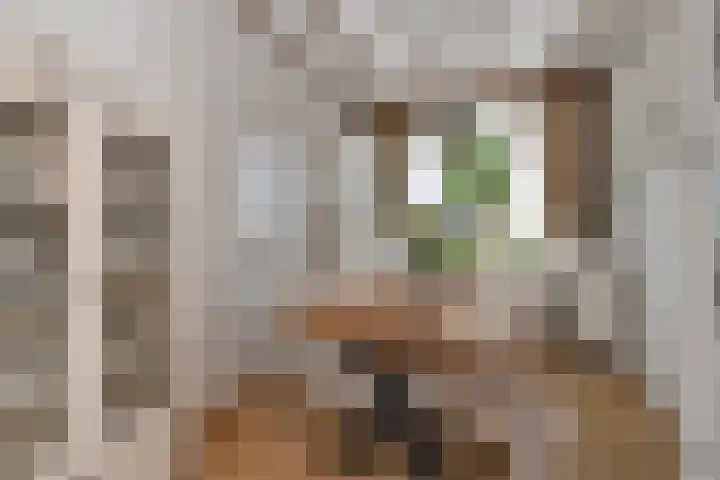 Hoofdstraat 53 Overdinkel thumbnail 16