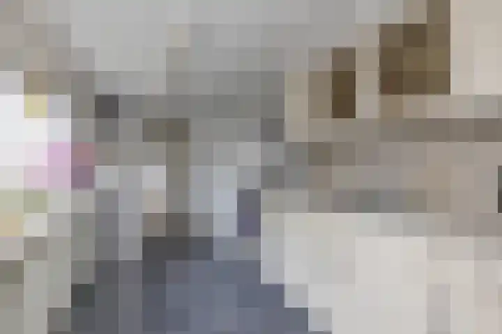 Hoofdstraat 53 Overdinkel thumbnail 18