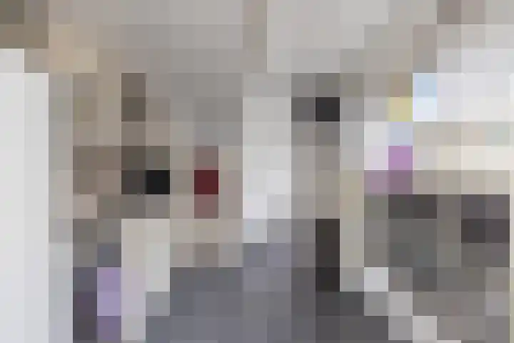 Hoofdstraat 53 Overdinkel thumbnail 21
